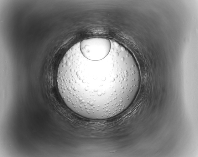 X0000098181205200804241023