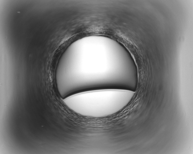 X0000098181206200804241023