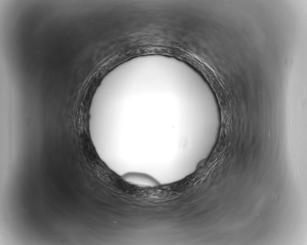 X0000098181207200804241023