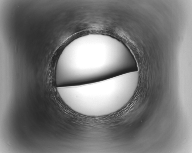 X0000098181208200804241023