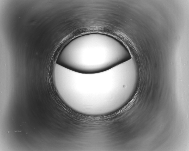X0000098181210200804241023