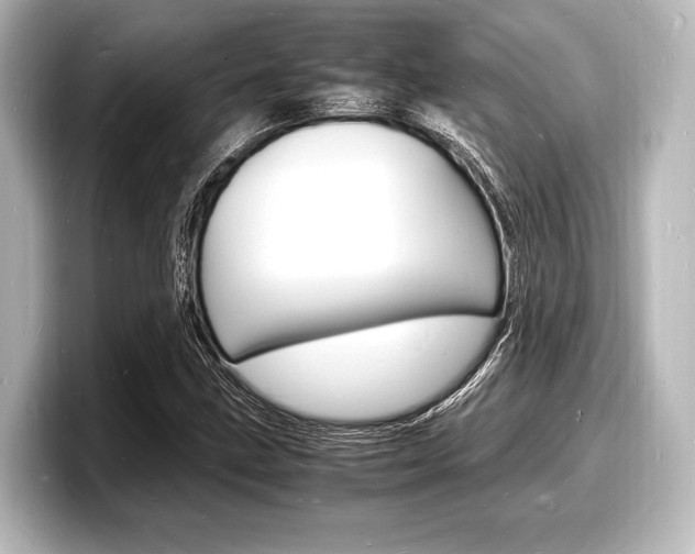 X0000098181211200804241023