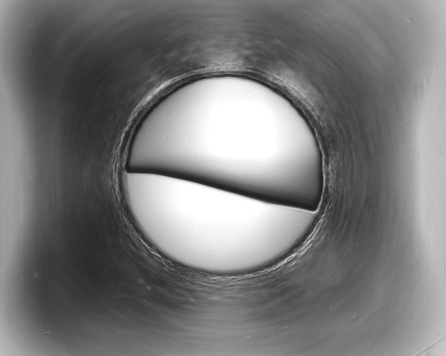 X0000098181212200804241023