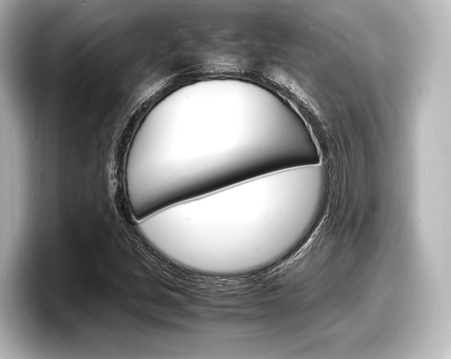 X0000098181213200804241023