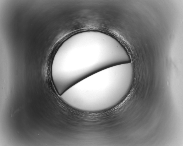 X0000098181215200804241023