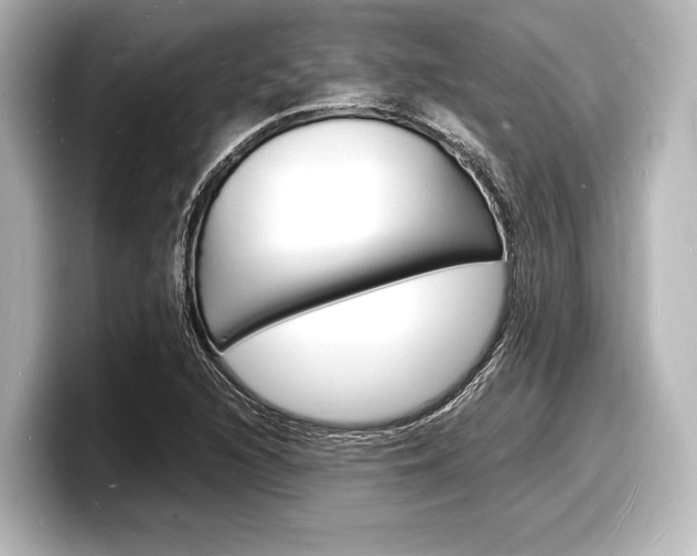X0000098181216200804241023