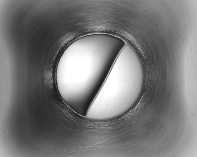 X0000098181218200804241023