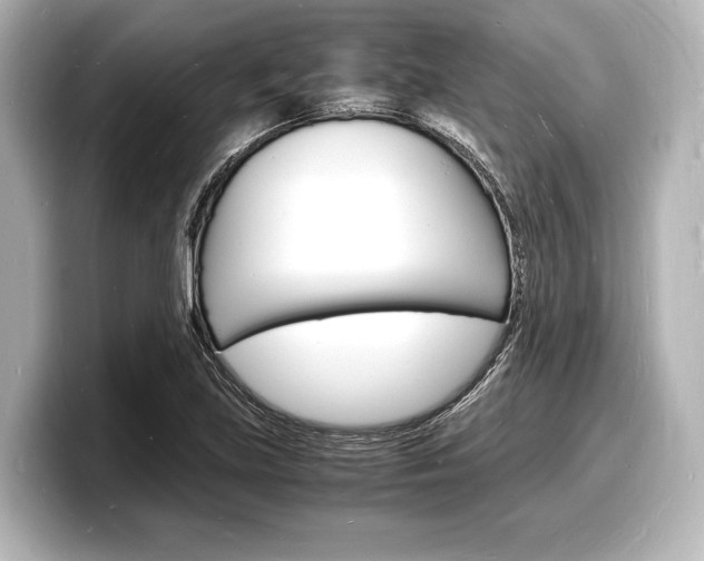 X0000098181219200804241023