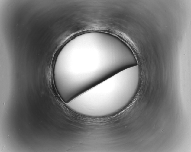 X0000098181220200804241023