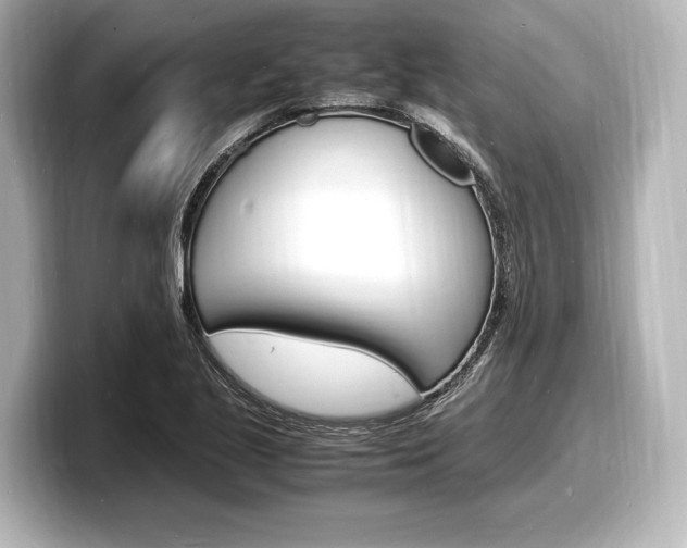 X0000098181221200804241023