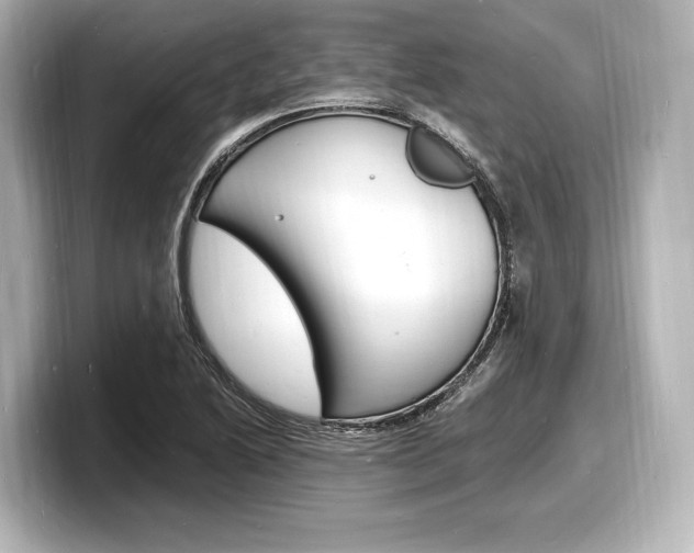 X0000098181222200804241023