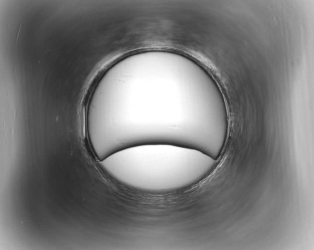 X0000098181223200804241023