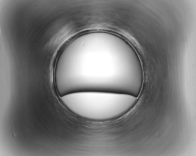 X0000098181224200804241023