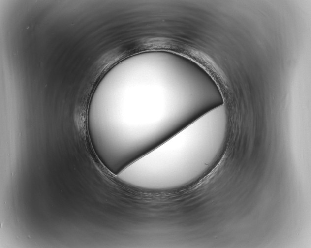X0000098181225200804241023