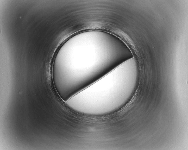 X0000098181226200804241023