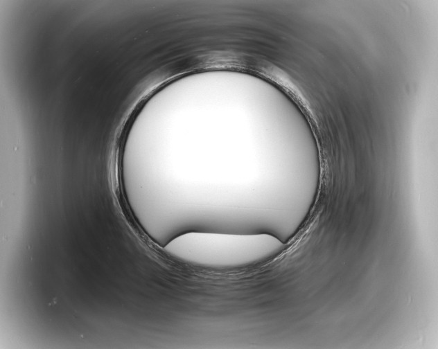 X0000098181227200804241023