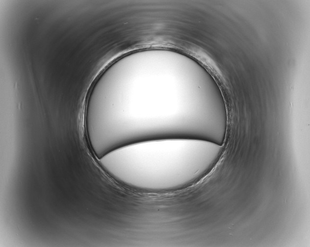 X0000098181228200804241023