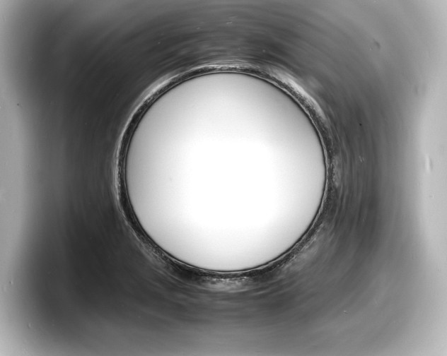 X0000098181229200804241023