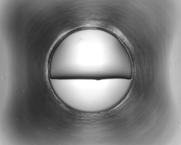 X0000098181232200804241023