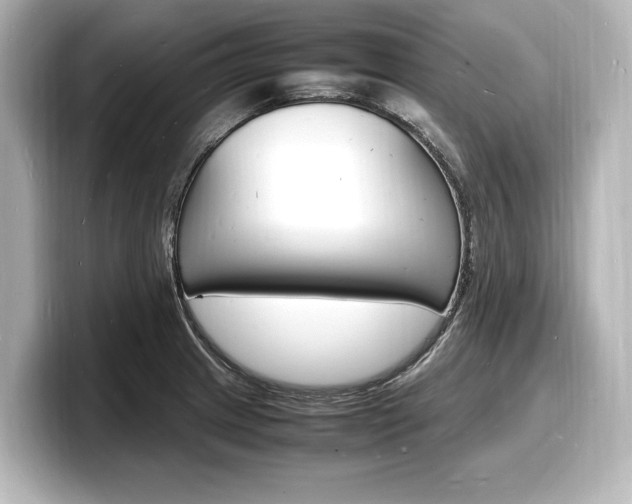 X0000098181233200804241023
