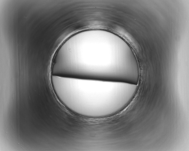 X0000098181236200804241023