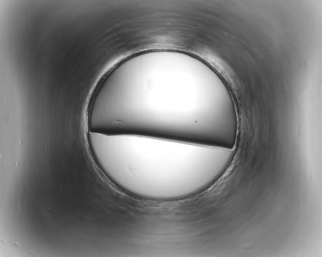 X0000098181238200804241024