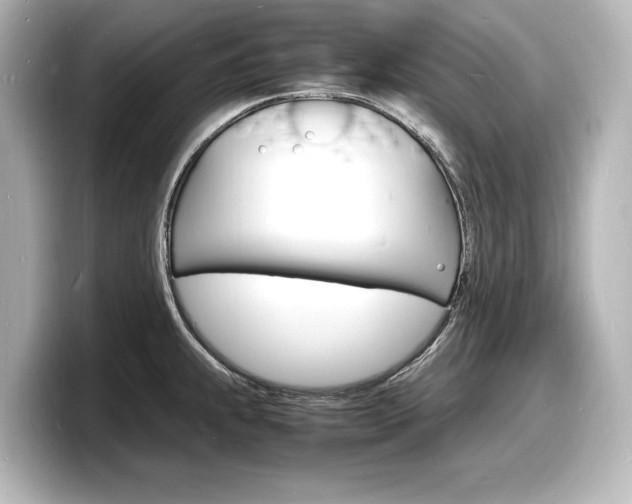 X0000098181239200804241024