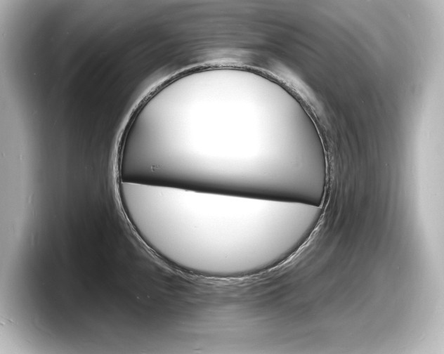X0000098181240200804241024