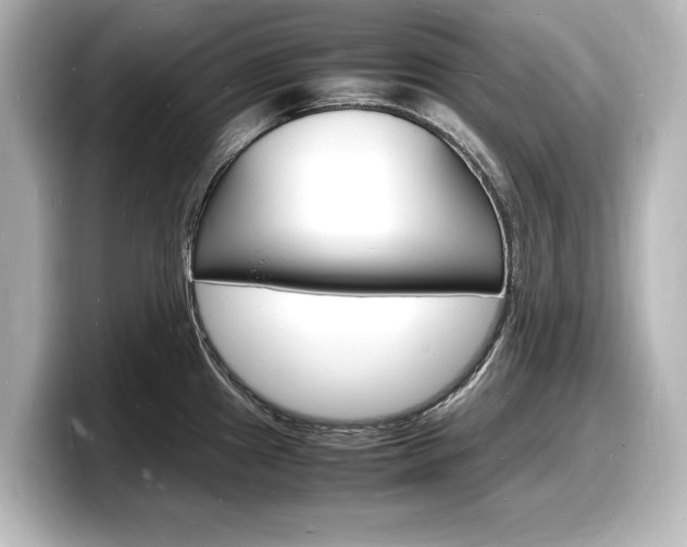 X0000098181241200804241024