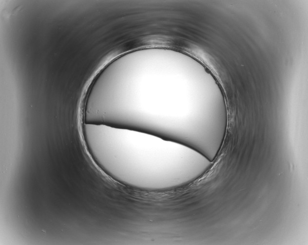 X0000098181243200804241024