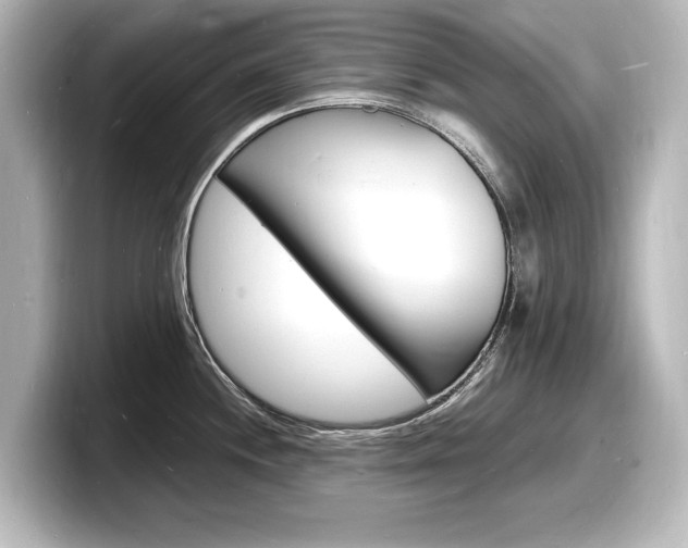 X0000098181244200804241024
