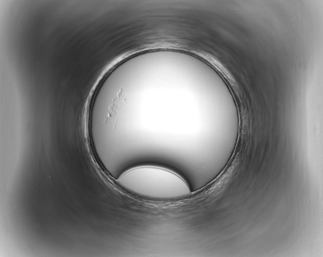 X0000098181246200804241024