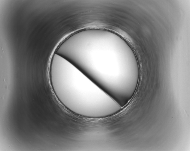 X0000098181248200804241024