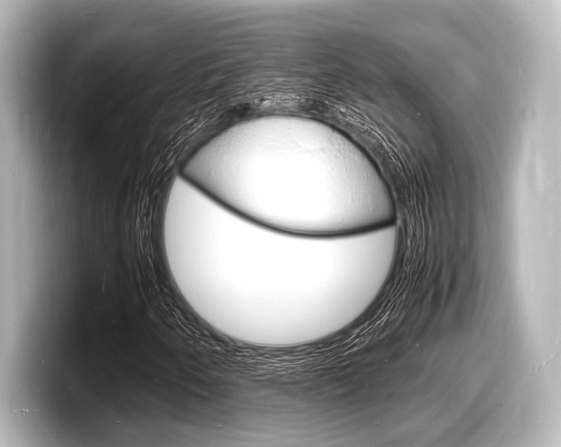 X0000098181250200804241023