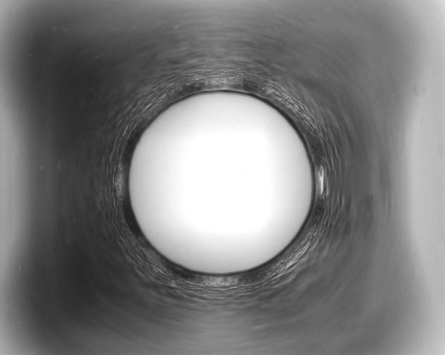 X0000098181251200804241023