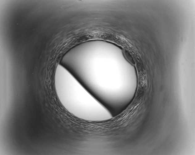 X0000098181253200804241023
