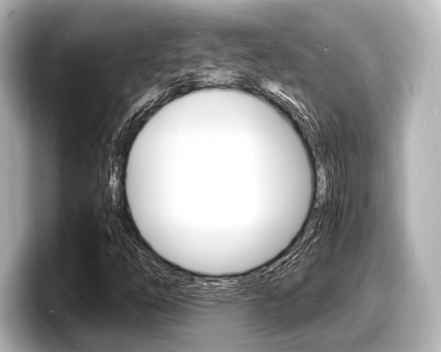 X0000098181254200804241023