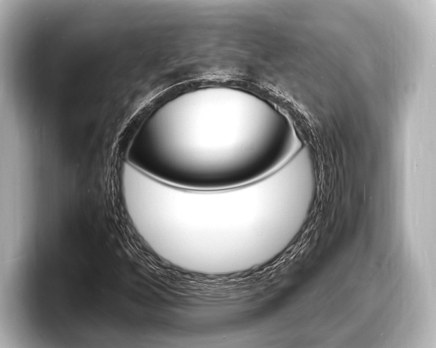 X0000098181256200804241023