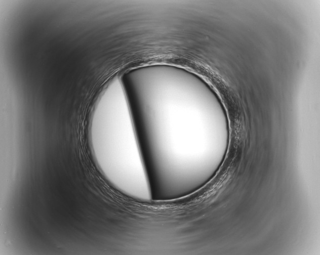X0000098181257200804241023