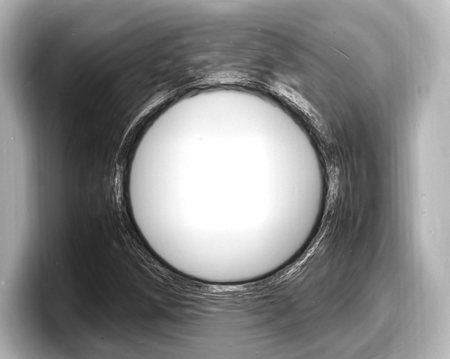X0000098181258200804241023
