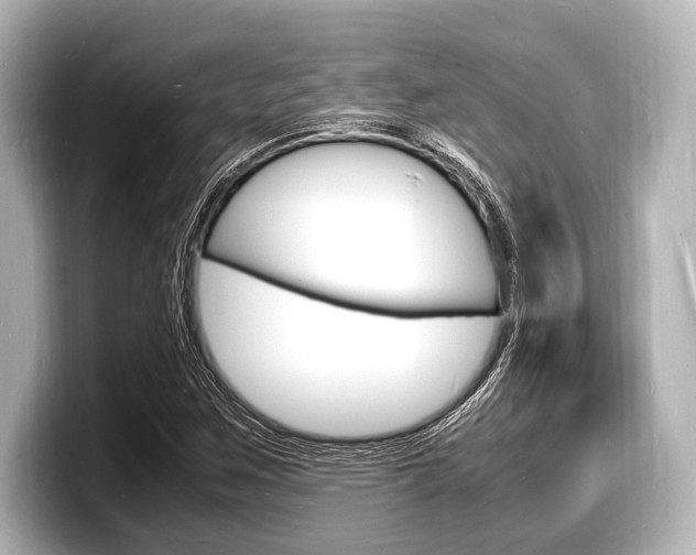 X0000098181259200804241023