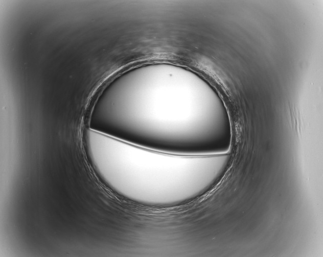 X0000098181260200804241023