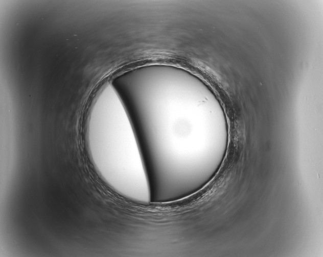 X0000098181261200804241023