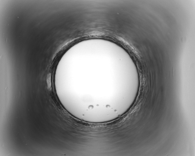 X0000098181262200804241023