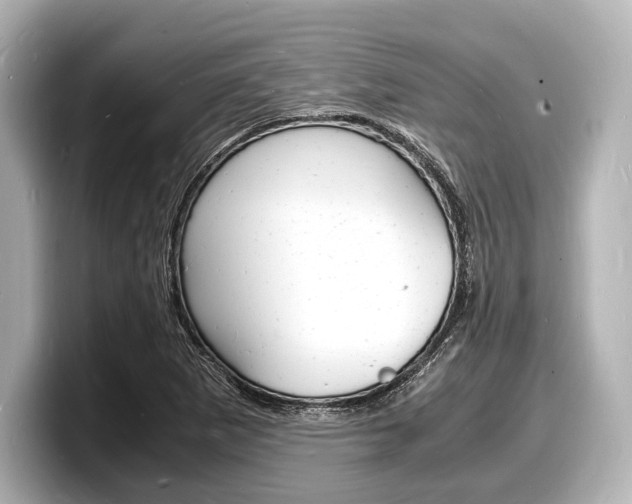 X0000098181265200804241023