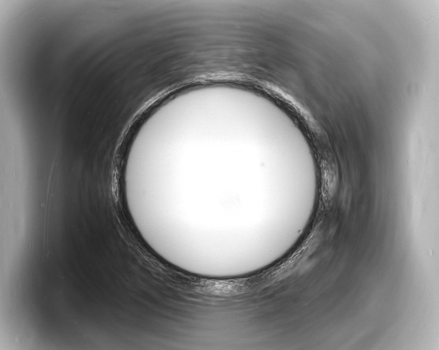 X0000098181266200804241023