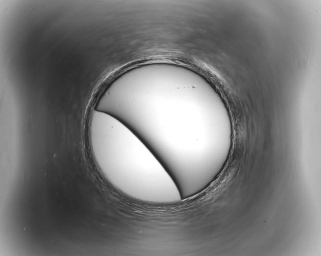 X0000098181267200804241023