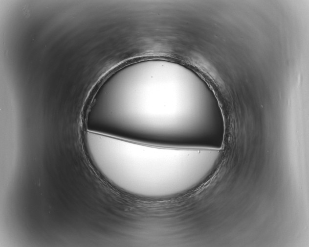 X0000098181268200804241023