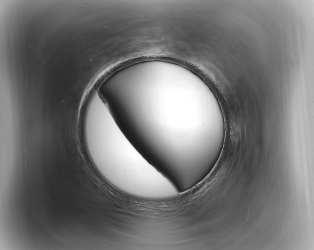 X0000098181270200804241023