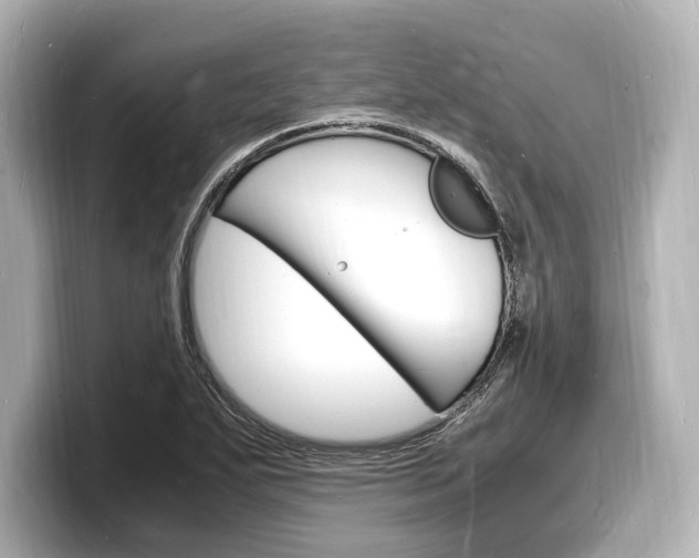 X0000098181271200804241023